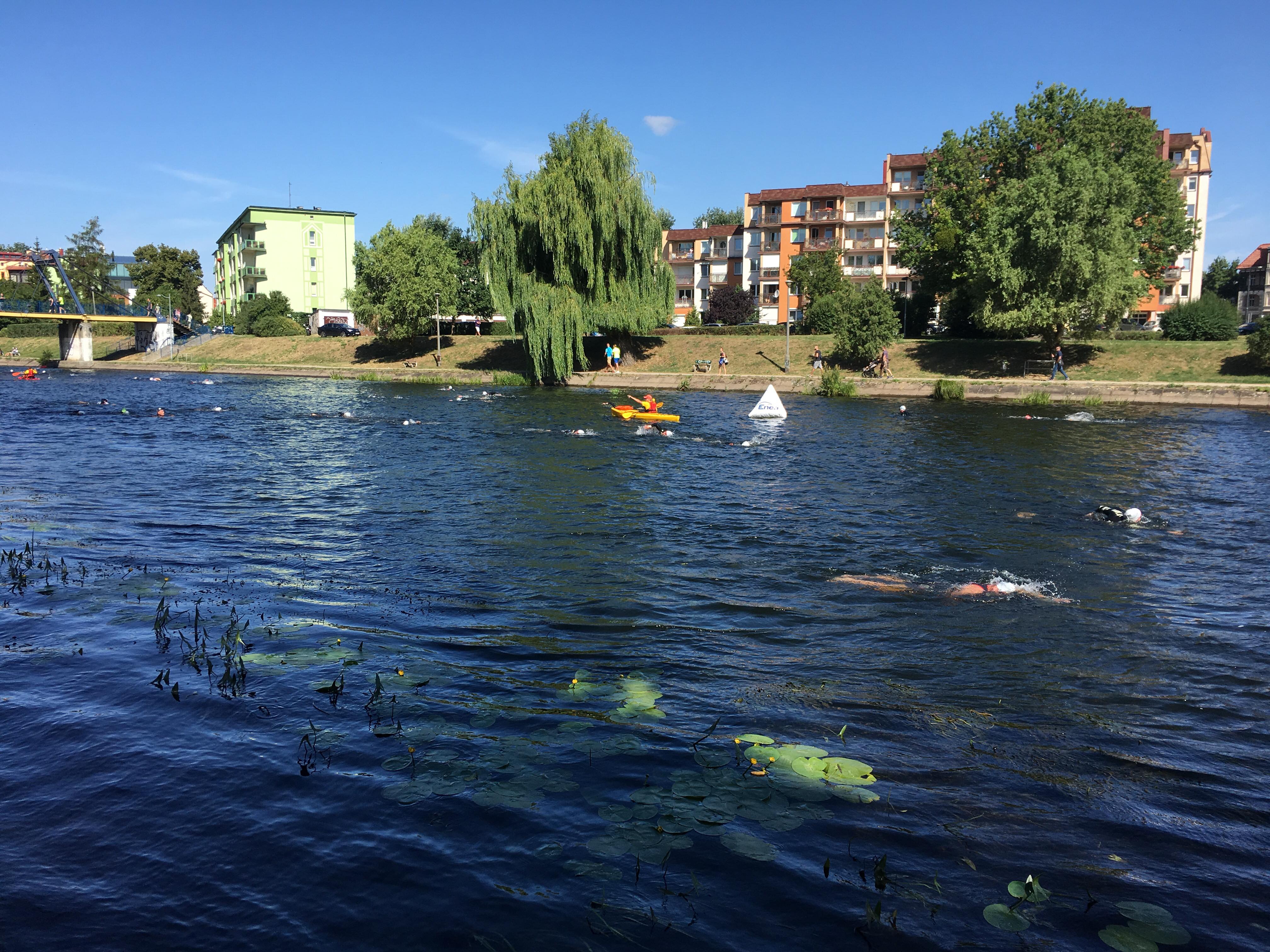 37059863_2225098534378368_4419004383845416960_n