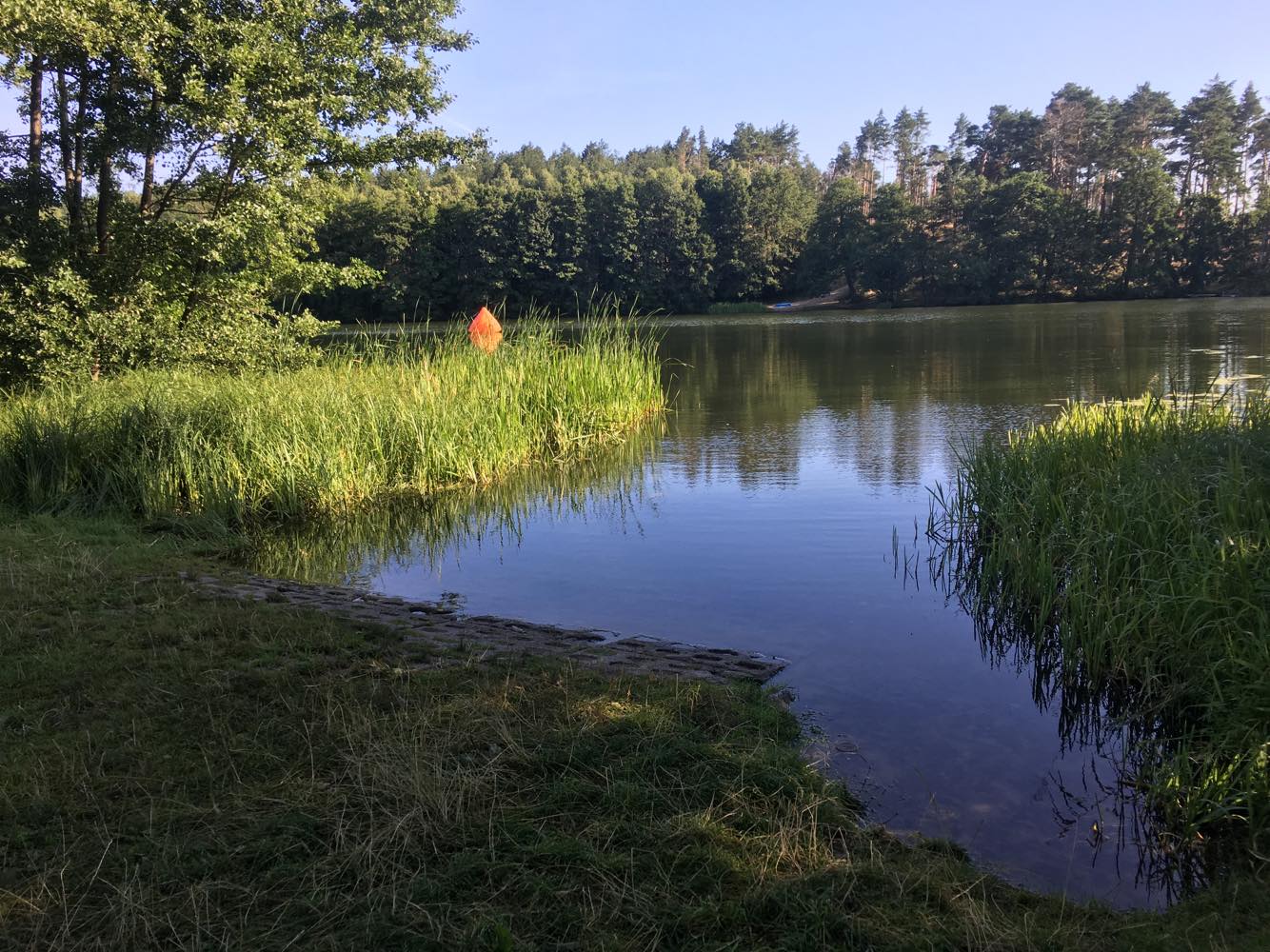 37952737_2241939456027609_5737341837983612928_n