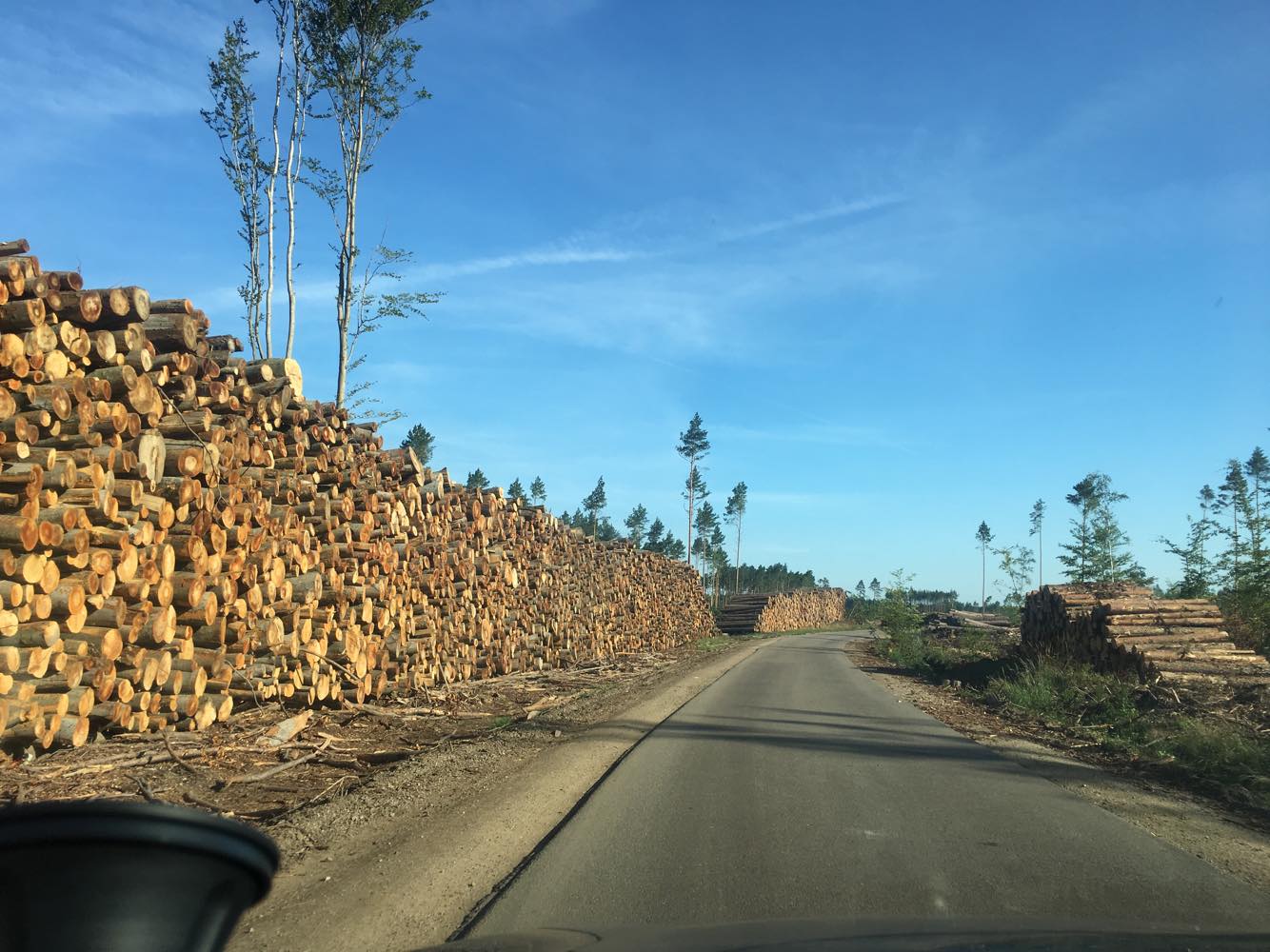 37996744_2241939599360928_1956375375902670848_n